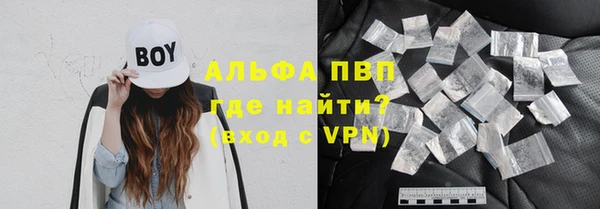стаф Новозыбков