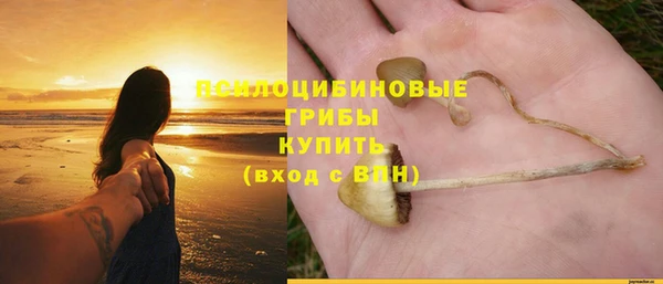 spice Балабаново
