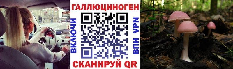 Галлюциногенные грибы Cubensis  Новый Уренгой 