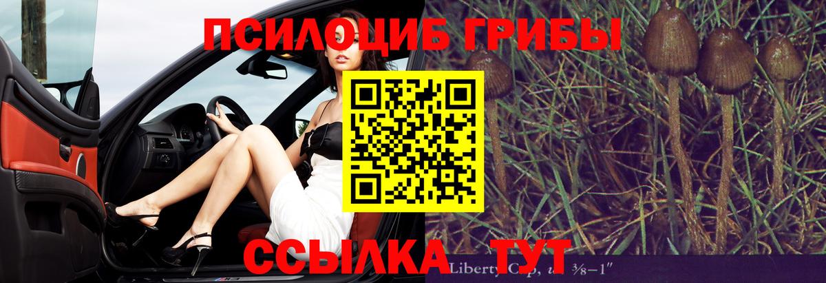 Галлюциногенные грибы Psilocybe  Вход с VPN  Новый Уренгой 