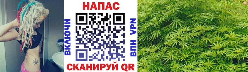 Конопля OG Kush  Новый Уренгой 