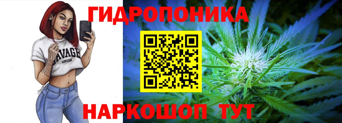 Каннабис ГИДРОПОН  Шишки марихуана индика  Шишки марихуана Ganja  Новый Уренгой  Канабис Bruce Banner  Вход с VPN 